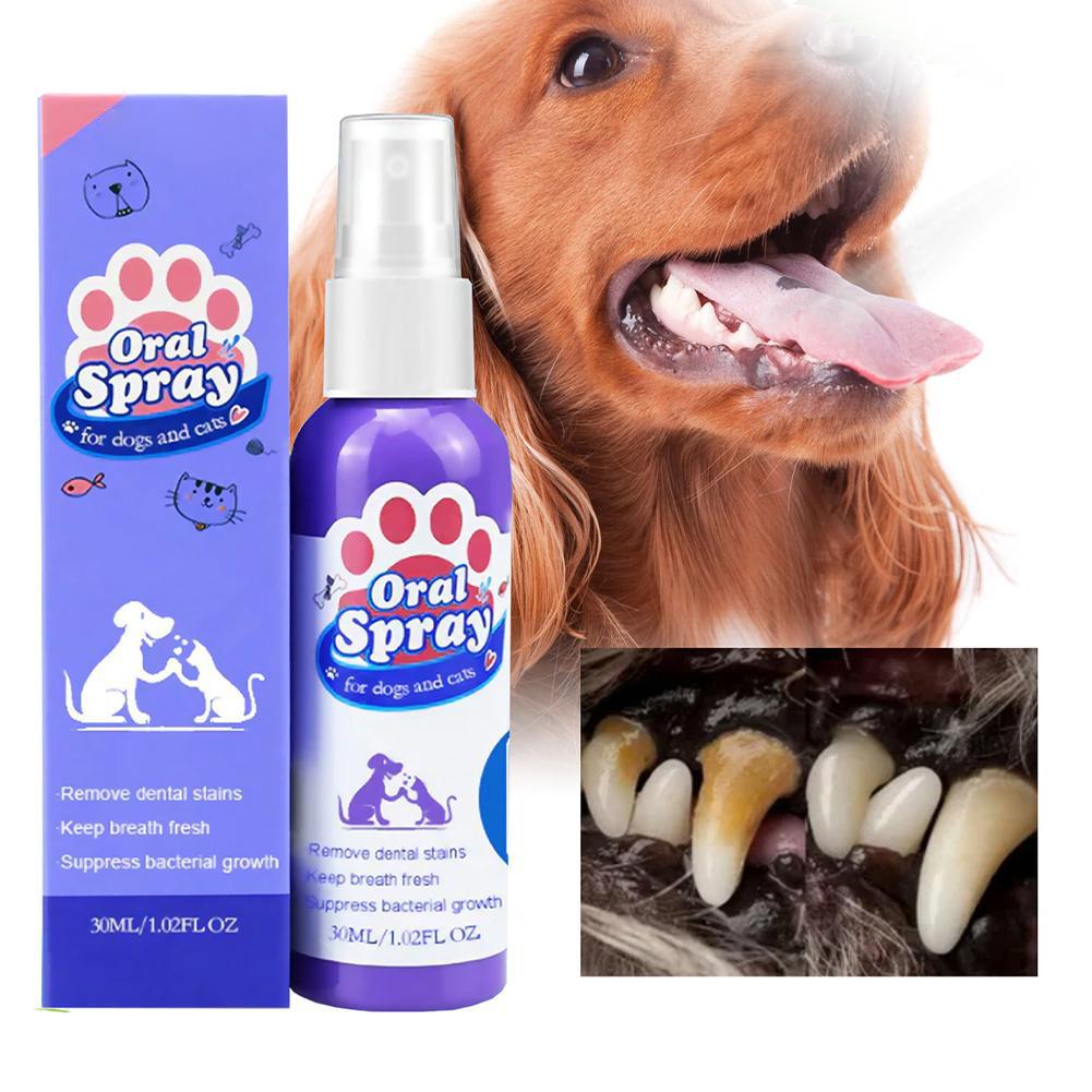 Evcil Hayvanlar İçin Ağız Spre - Teeth Whitening Mouthwash incelemesi ve fiyatı